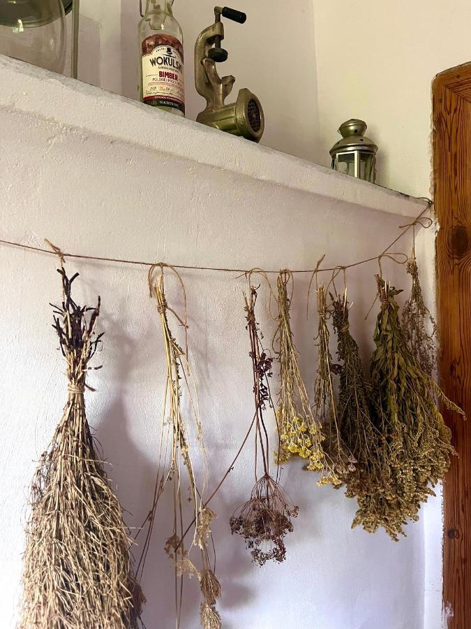 Agroturystyka U Koziolka Dlugowola Bagian luar foto