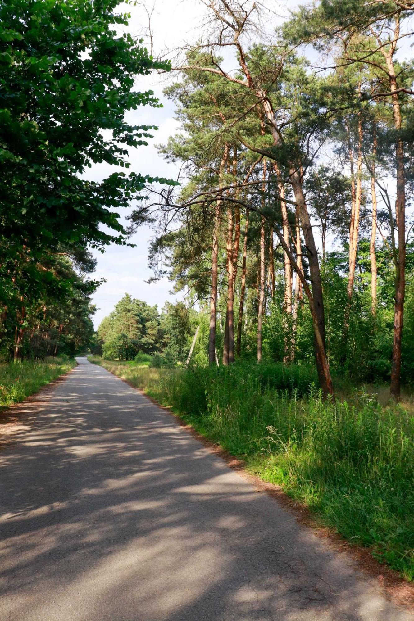 Agroturystyka U Koziolka Dlugowola Bagian luar foto